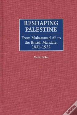Capa do artigo Reshaping Palestine
