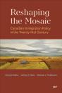 Reshaping The Mosaic - Preview