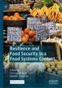 Resilience And Food Security In A Food Systems Context - Preview