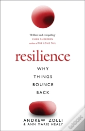 Capa do artigo Resilience