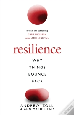 Capa do artigo Resilience