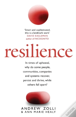 Capa do artigo Resilience