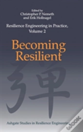Resilience Engineering In Practice, Volume 2