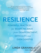 Capa do artigo Resilience