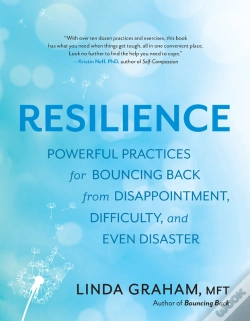 Capa do artigo Resilience