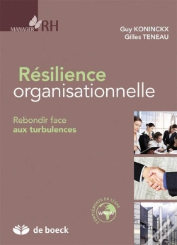 Capa do artigo Résilience Organisationnelle ; Rebondir Face Aux Turbulences