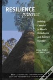 Capa do artigo Resilience Practice