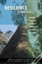 Capa do artigo Resilience Practice