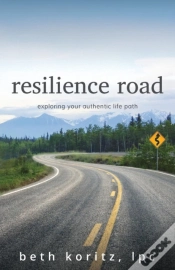 Capa do artigo Resilience Road