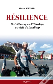 Capa do artigo Resilience
