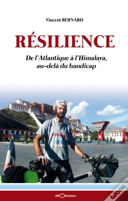 Capa do artigo Resilience