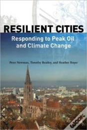 Capa do artigo Resilient Cities