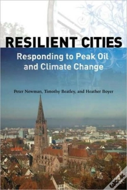 Capa do artigo Resilient Cities