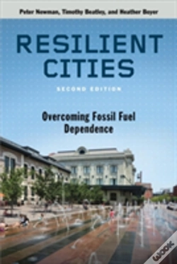 Capa do artigo Resilient Cities, Second Edition