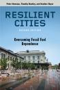 Resilient Cities, Second Edition - Preview