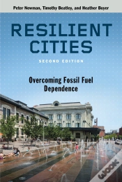 Capa do artigo Resilient Cities, Second Edition