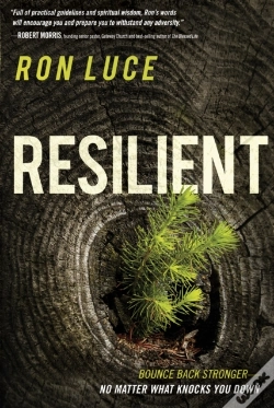 Capa do artigo Resilient