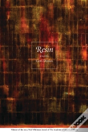 Capa do artigo Resin