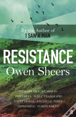 Capa do artigo Resistance