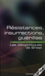 Capa do artigo Résistances Insurrections Guerillas