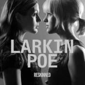 Capa do artigo Reskinned - Vinil
