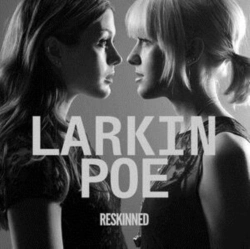 Capa do artigo Reskinned - Vinil