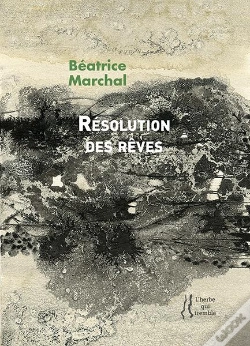 Capa do artigo Resolution Des Reves