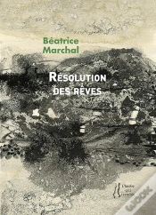Capa do artigo Resolution Des Reves