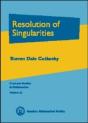 Resolution Of Singularities - Preview