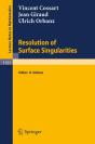 Resolution Of Surface Singularities - Preview