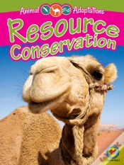 Capa do artigo Resource Conservation