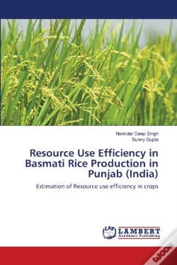 Capa do artigo Resource Use Efficiency In Basmati Rice Production In Punjab (India)