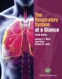 Respiratory System At A Glance - Preview