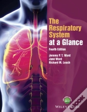 Respiratory System At A Glance