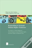 Responding To Systemic Human Rights Violations