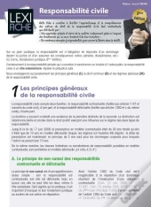 Responsabilite Civile 2eme Edition