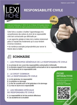Capa do artigo Responsabilité Civile