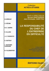 Responsabilité Du Chef De L'Entreprise En Difficulté