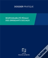 Responsabilite Penale Des Dirigeants Sociaux