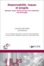 Responsabilité, Risques Et Progrès
