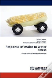 Response Of Maize To Water Stress