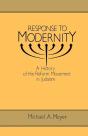 Response To Modernity - Preview