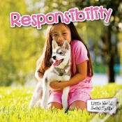 Capa do artigo Responsibility
