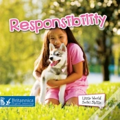 Capa do artigo Responsibility