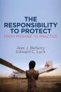 Responsibility To Protect - Preview