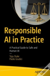 Capa do artigo Responsible Ai In Practice