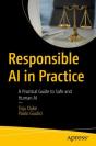 Responsible Ai In Practice - Preview
