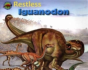 Rest Iguanodon - Preview