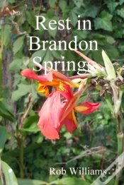Capa do artigo Rest In Brandon Springs
