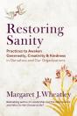 Restoring Sanity - Preview